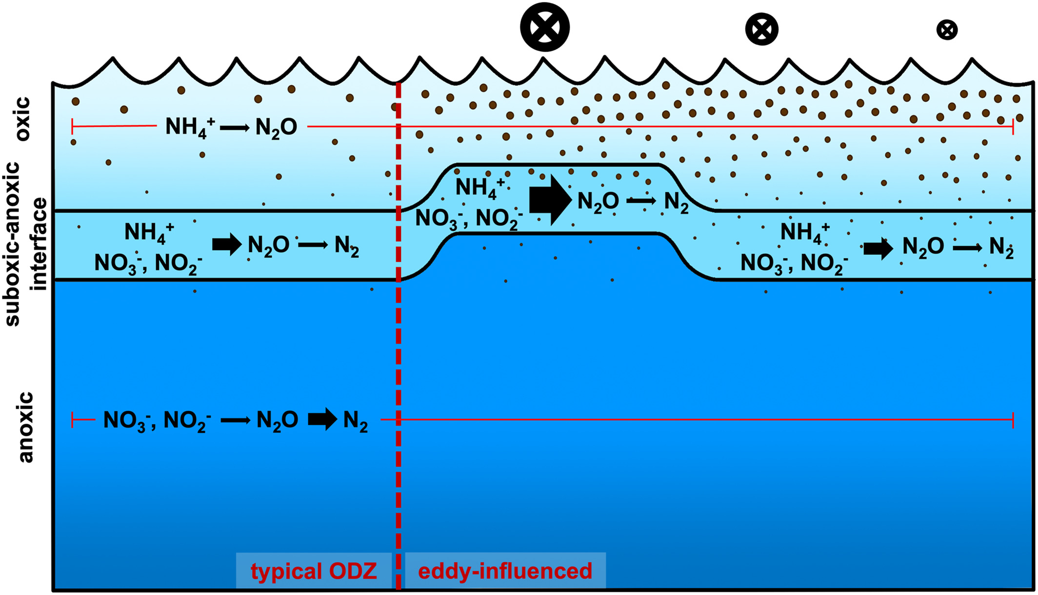 ETNP N2O Diagram